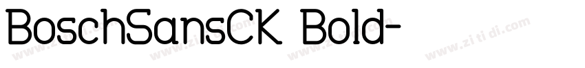BoschSansCK Bold字体转换